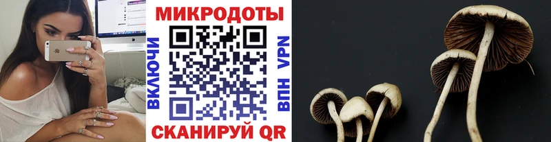 наркотики  Юхнов  Галлюциногенные грибы Psilocybe 